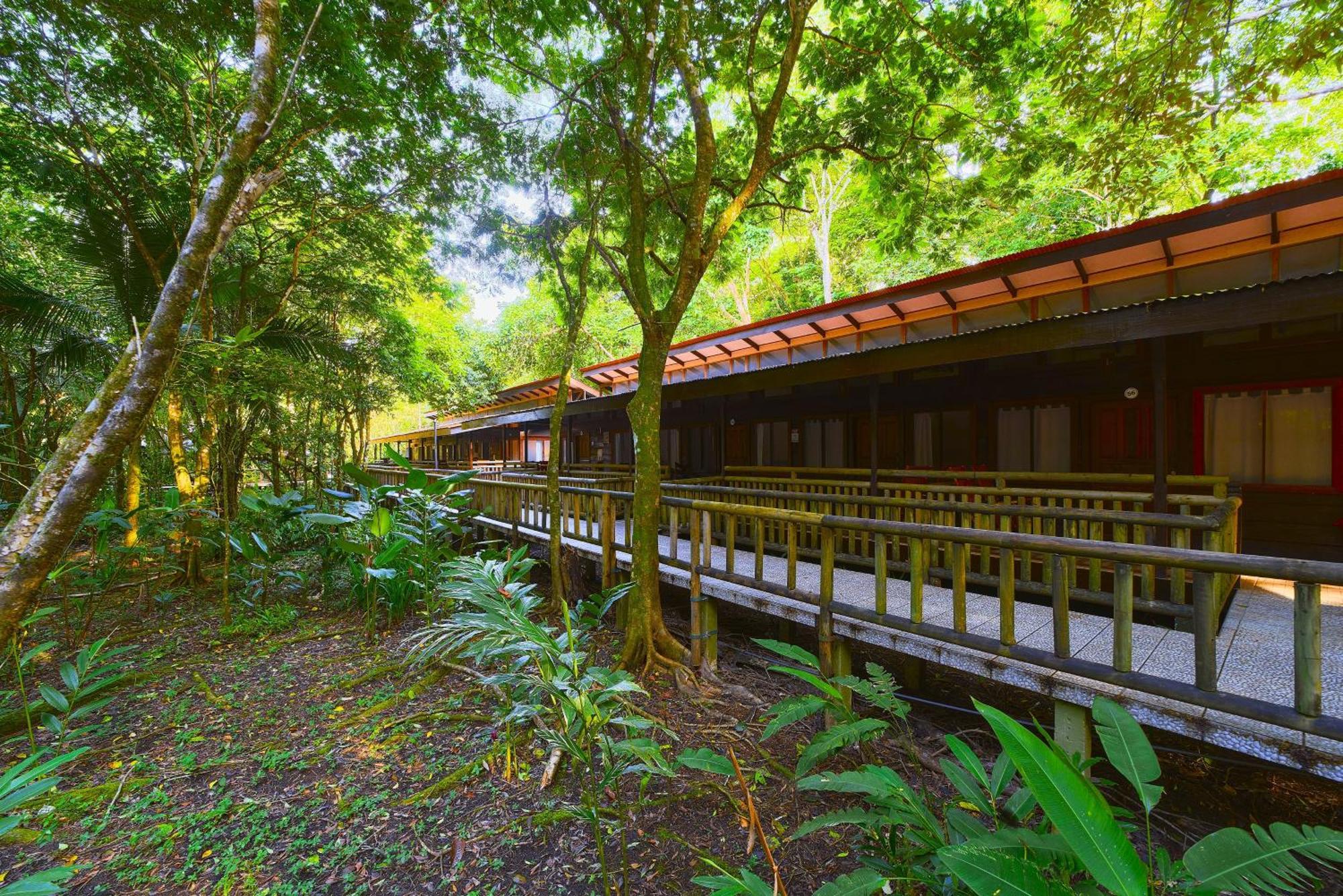 Evergreen Lodge Tortuguero Dış mekan fotoğraf