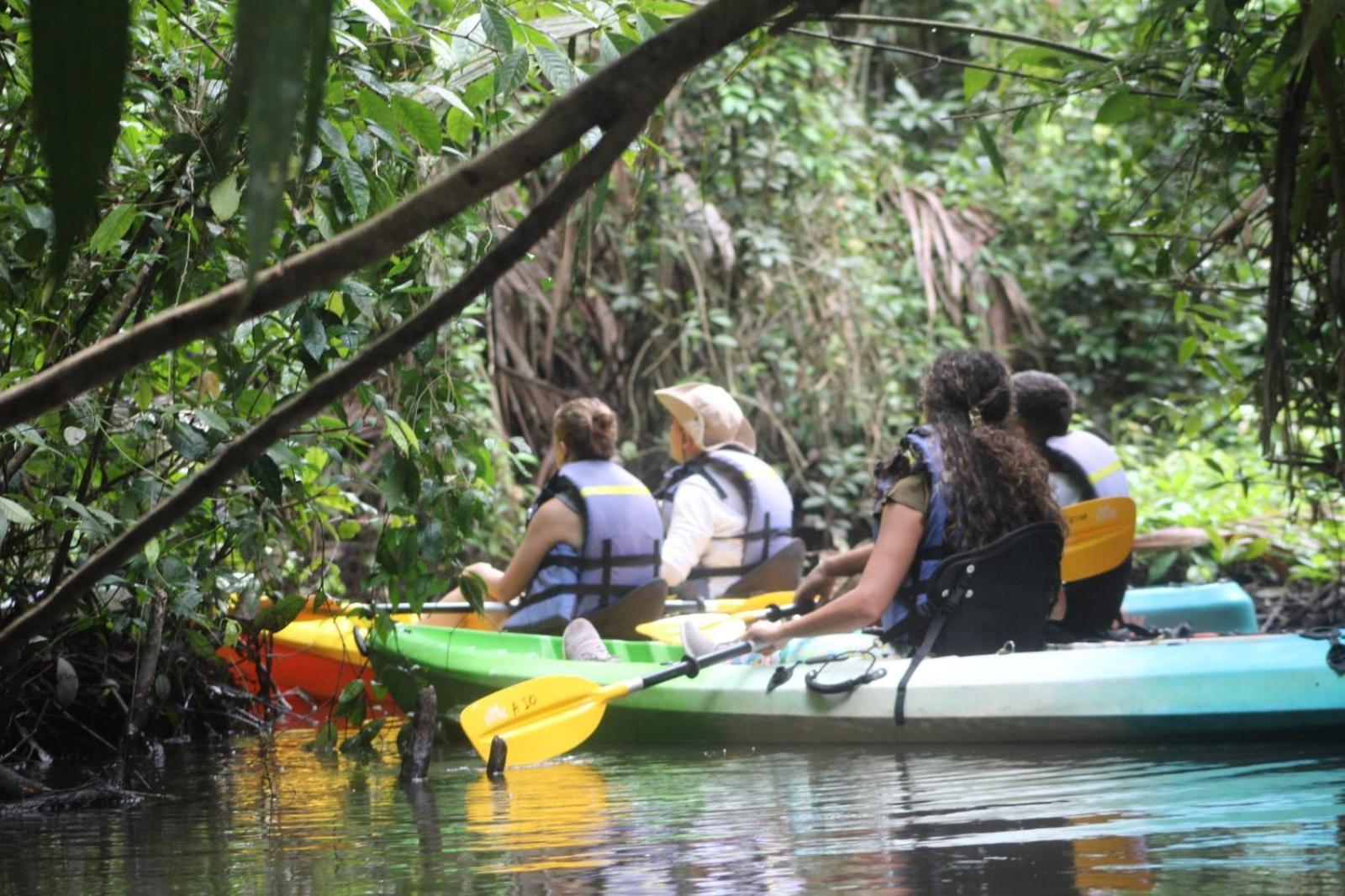 Evergreen Lodge Tortuguero Dış mekan fotoğraf