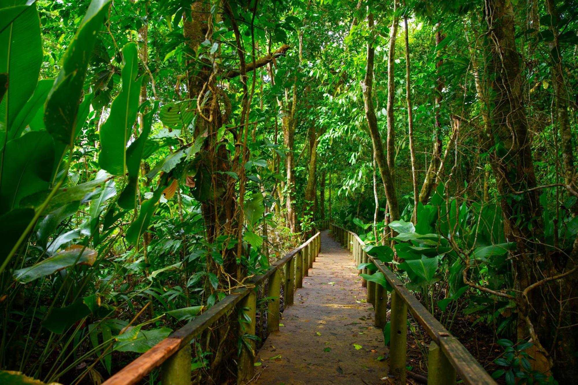Evergreen Lodge Tortuguero Dış mekan fotoğraf