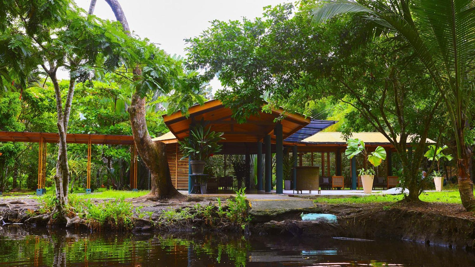 Evergreen Lodge Tortuguero Dış mekan fotoğraf
