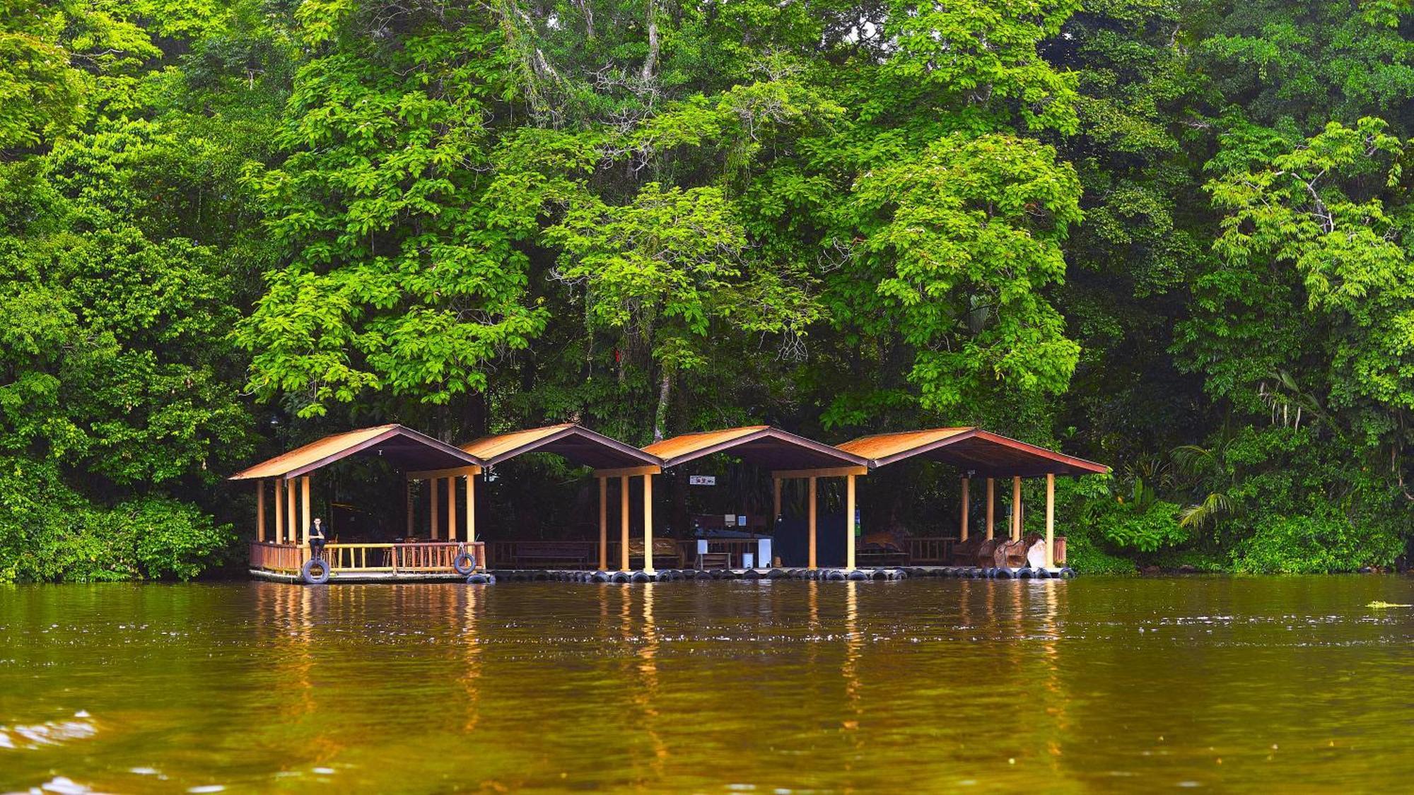 Evergreen Lodge Tortuguero Dış mekan fotoğraf