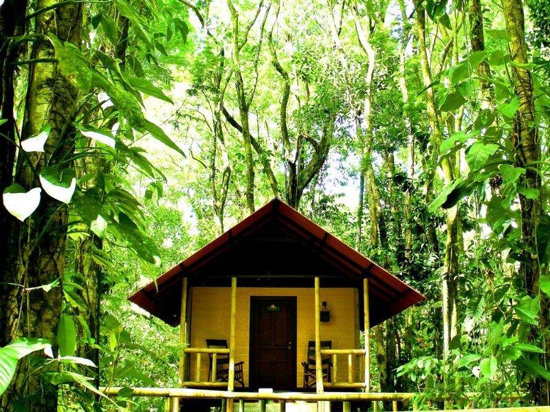Evergreen Lodge Tortuguero Dış mekan fotoğraf