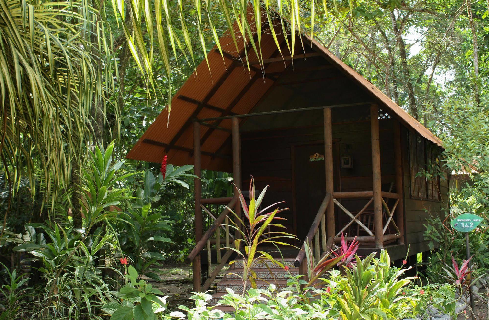 Evergreen Lodge Tortuguero Dış mekan fotoğraf