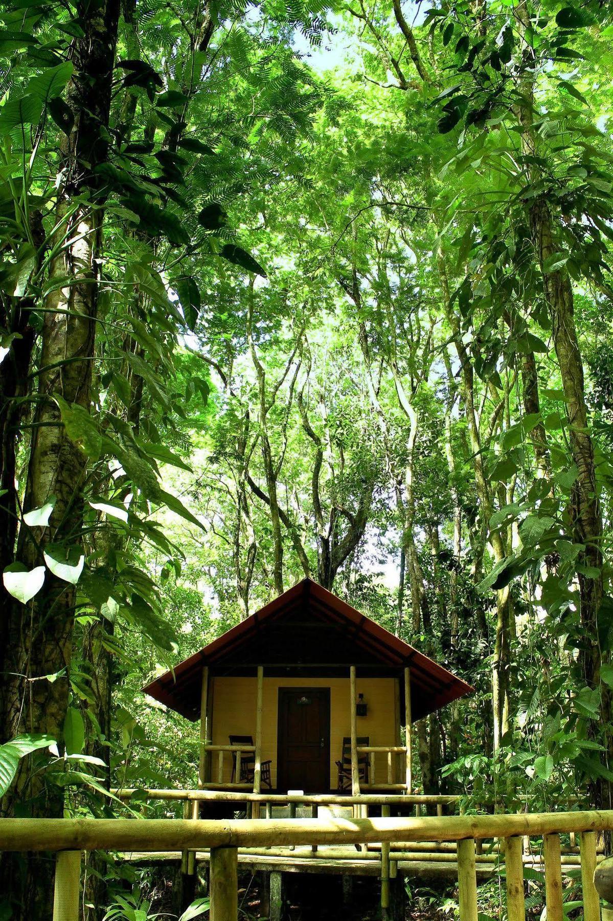Evergreen Lodge Tortuguero Dış mekan fotoğraf