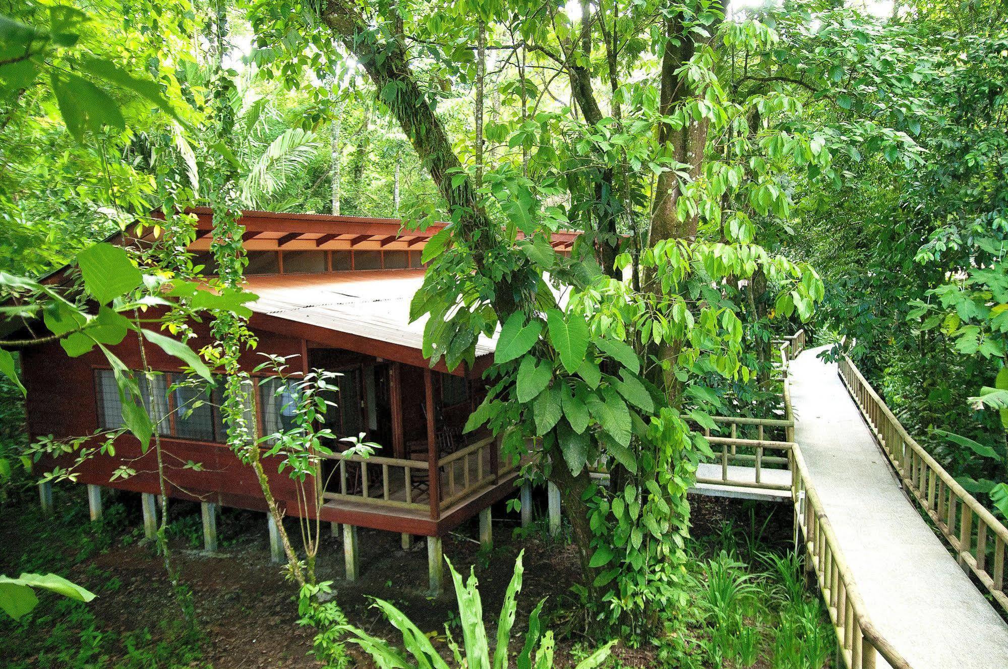 Evergreen Lodge Tortuguero Dış mekan fotoğraf
